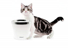 Lade das Bild in den Galerie-Viewer, Katzen/Hunde Trinkbrunnen, Katzenbrunnen Wasserbrunnen mit Aktivkohlefilter 2L (Silber)