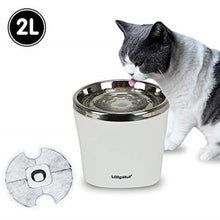 Lade das Bild in den Galerie-Viewer, Katzen/Hunde Trinkbrunnen, Katzenbrunnen Wasserbrunnen mit Aktivkohlefilter 2L (Blau)