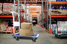 Lade das Bild in den Galerie-Viewer, Transportwagen klappbar Plattformwagen Transportkarre klappbar Plattenwagen klappbar 150 kg Tragkraft Rollwagen klappbar Transport Trolley Transport Wagen Transporthilfe
